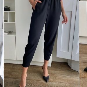 Aritzia Dexter Pant
